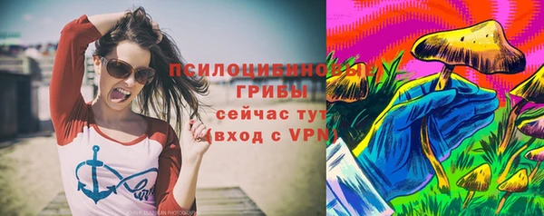 крисы Белокуриха