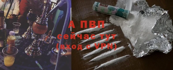 крисы Белокуриха